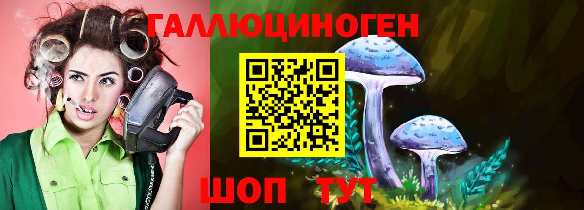 Барабинск  Галлюциногенные грибы Psilocybine cubensis  Вход с VPN 